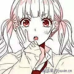 646463@qq.com